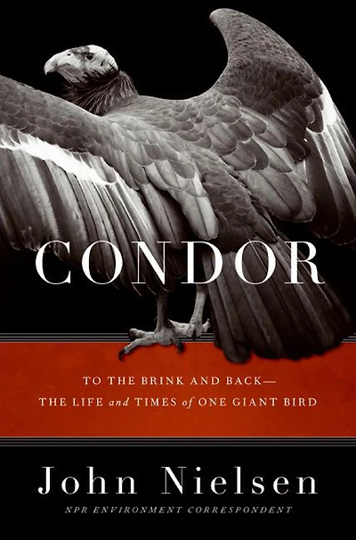 Condor: To the Brink and Back-the Life Times of One Giant Bird