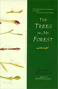The Trees My Forest