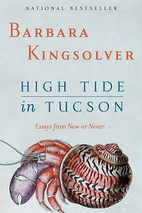 High Tide Tucson: Essays from Now or Never