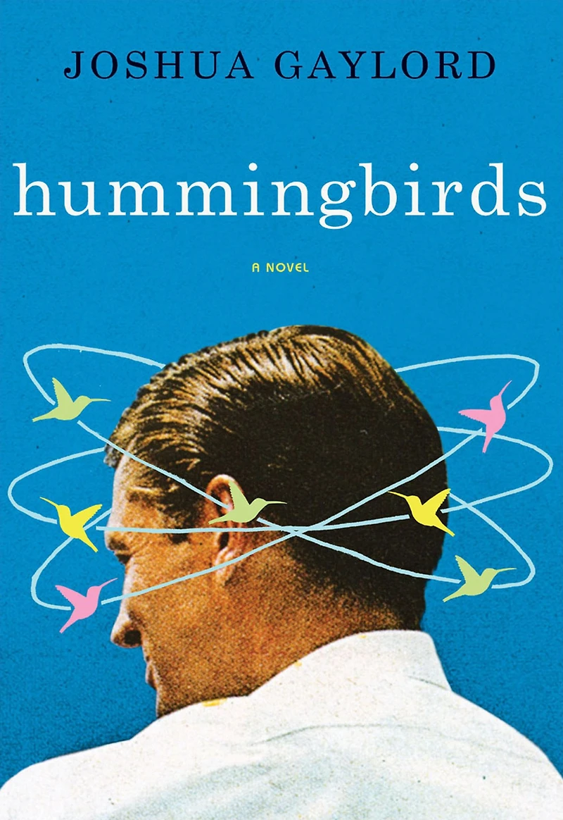 Hummingbirds: A Novel