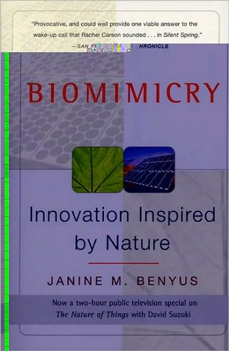 Biomimicry: Innovation Inspired by Nature