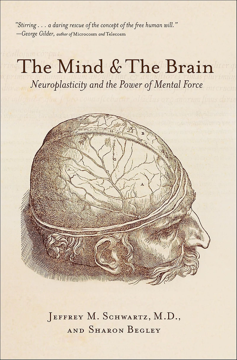 the Mind and Brain: Neuroplasticity Power of Mental Force