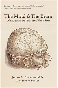 the Mind and Brain: Neuroplasticity Power of Mental Force
