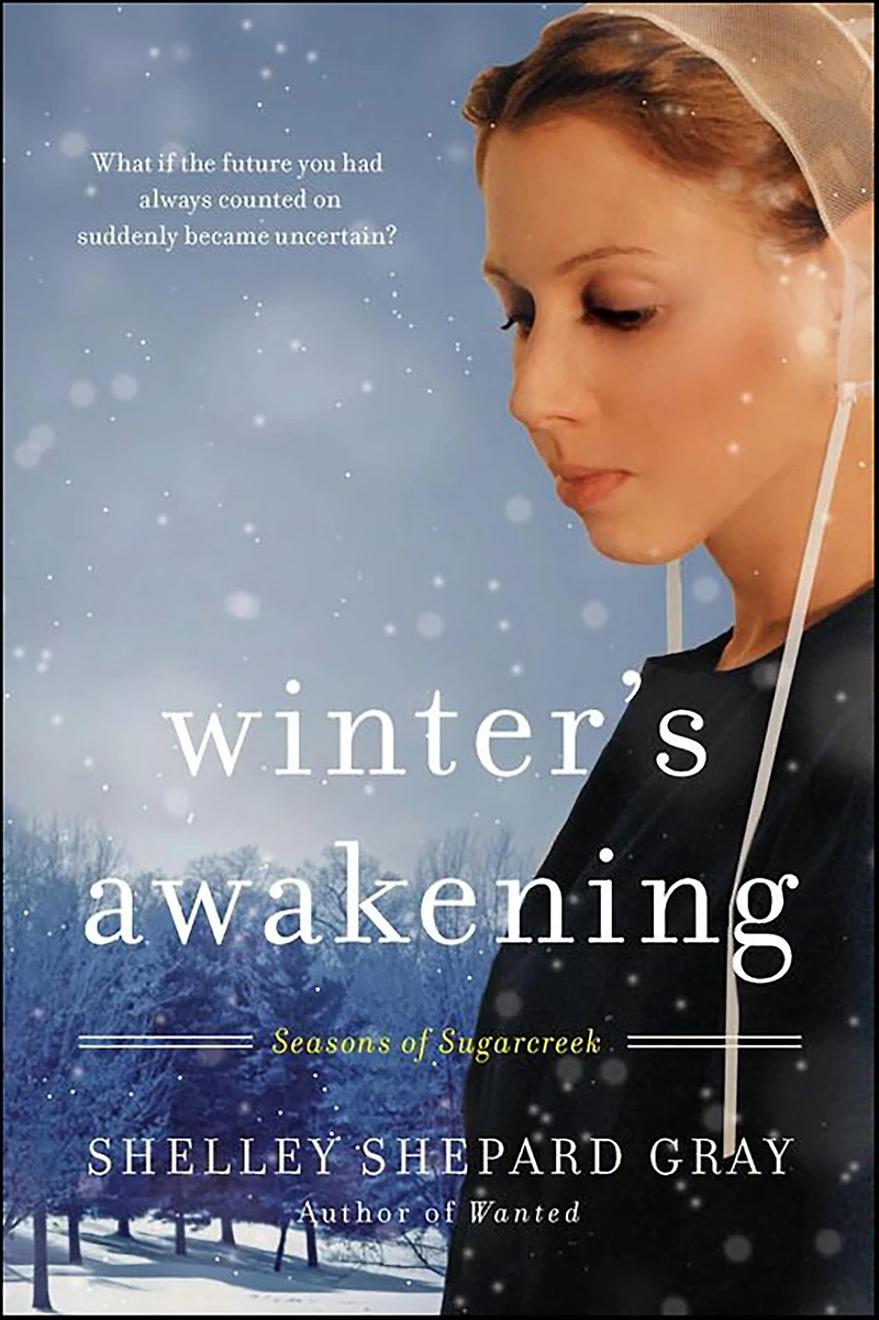 Winter's Awakening: Seasons of Sugarcreek, Book One