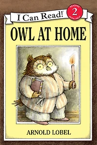 Owl at Home
