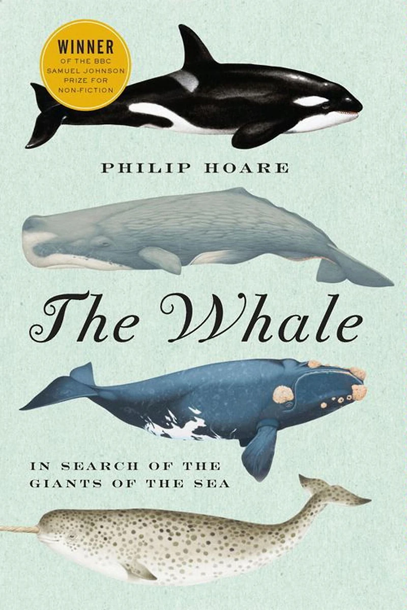 the Whale: Search of Giants Sea
