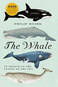 the Whale: Search of Giants Sea