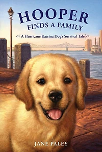 Hooper Finds A Family: Hurricane Katrina Dog's Survival Tale