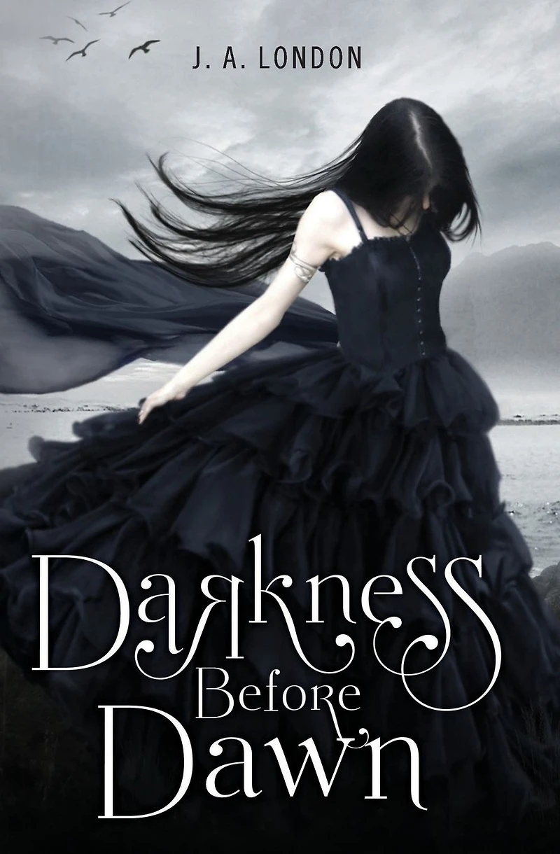 Darkness Before Dawn (Darkness Series #1)