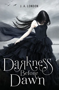 Darkness Before Dawn (Darkness Series #1)