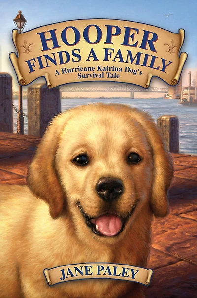 Hooper Finds A Family: Hurricane Katrina Dog's Survival Tale