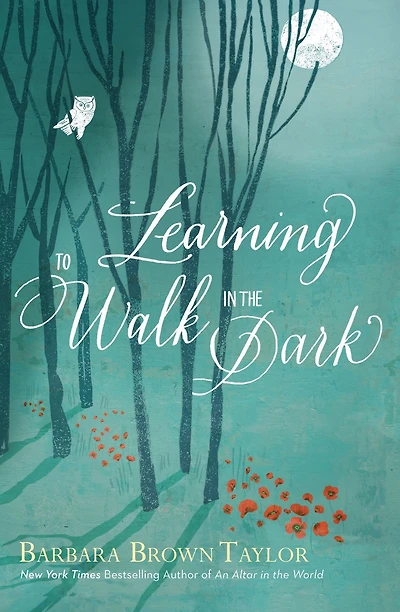 Learning to Walk the Dark