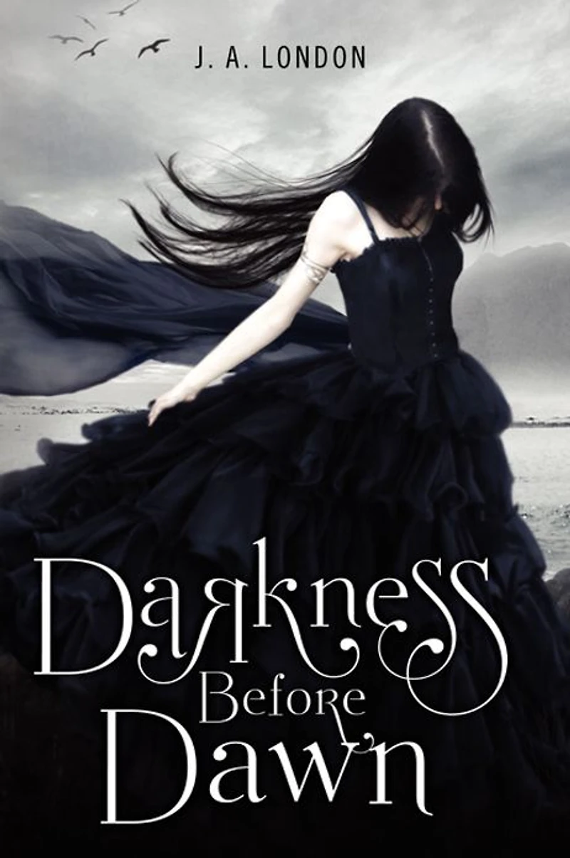 Darkness Before Dawn (Darkness Series #1)