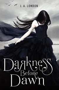 Darkness Before Dawn (Darkness Series #1)