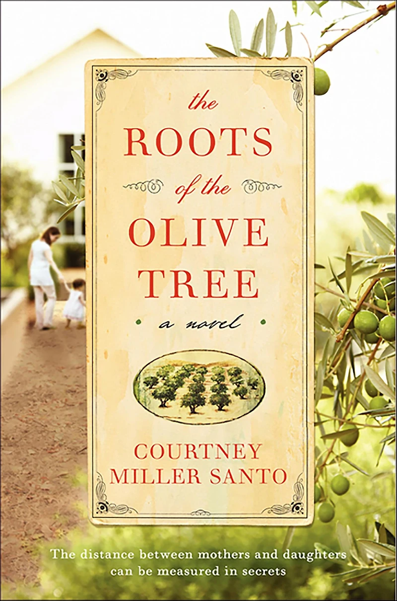 the Roots of Olive Tree