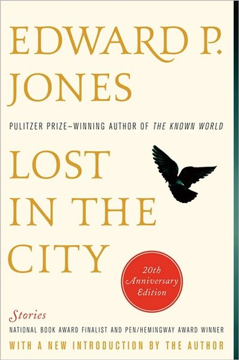 Lost the City
