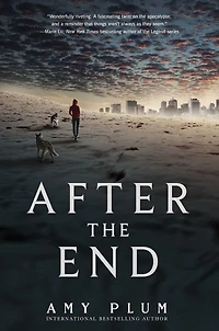 After the End (After Series #1)