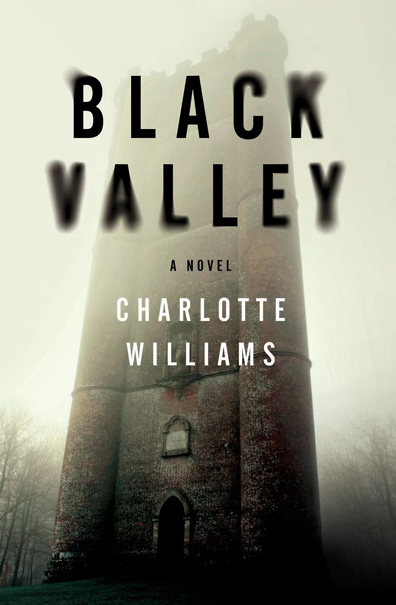 Black Valley: A Novel