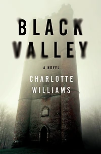 Black Valley: A Novel