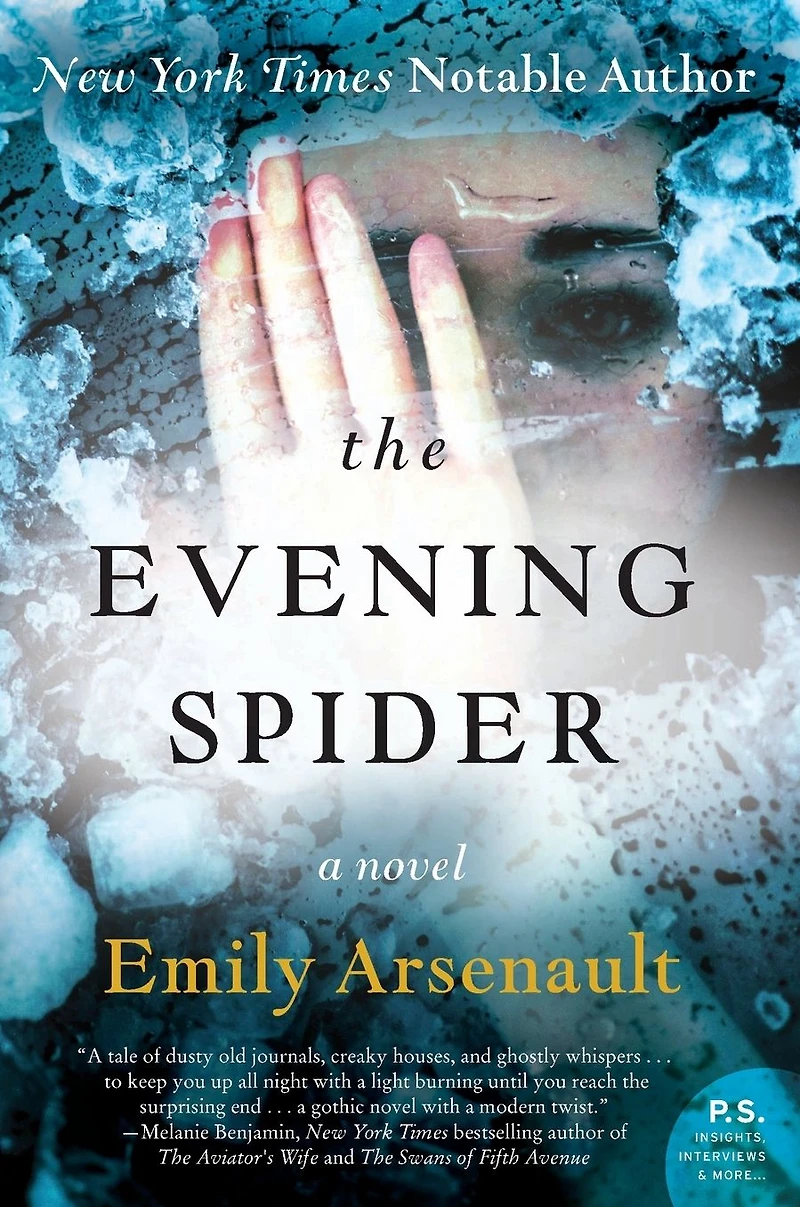 The Evening Spider: A Novel