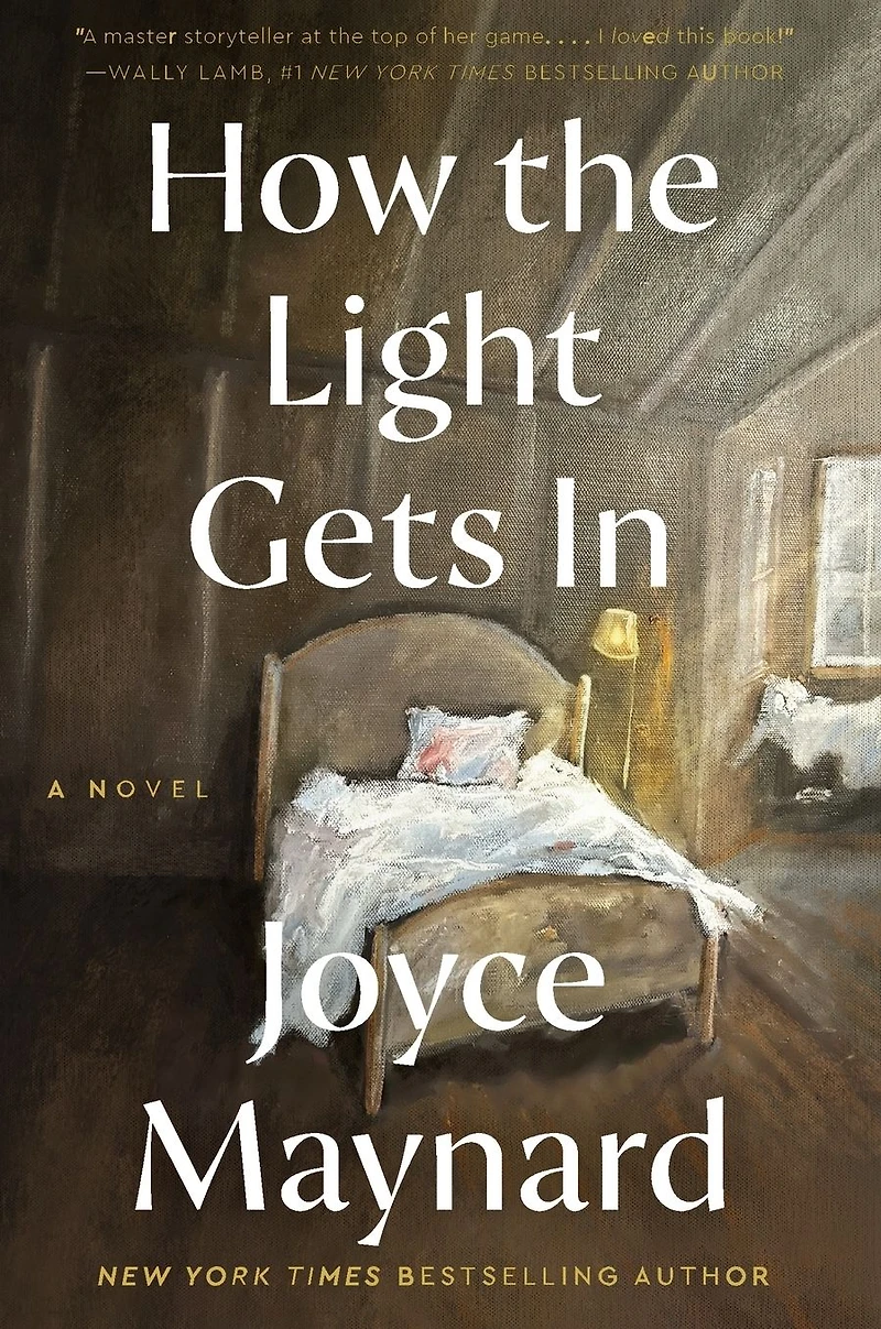 How the Light Gets In: A Novel