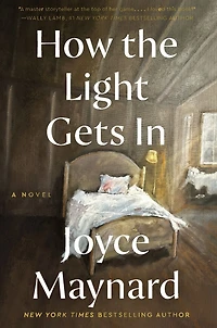 How the Light Gets In: A Novel