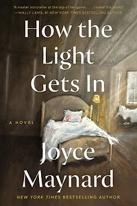 How the Light Gets In: A Novel