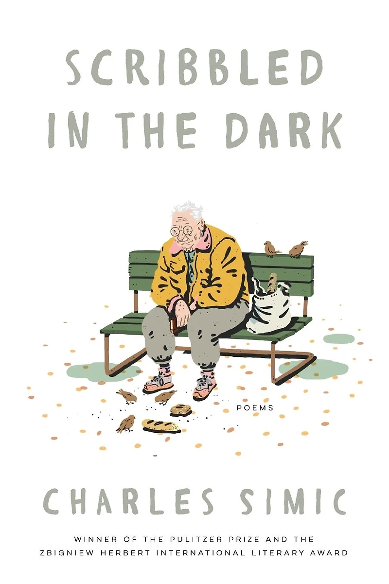 Scribbled the Dark