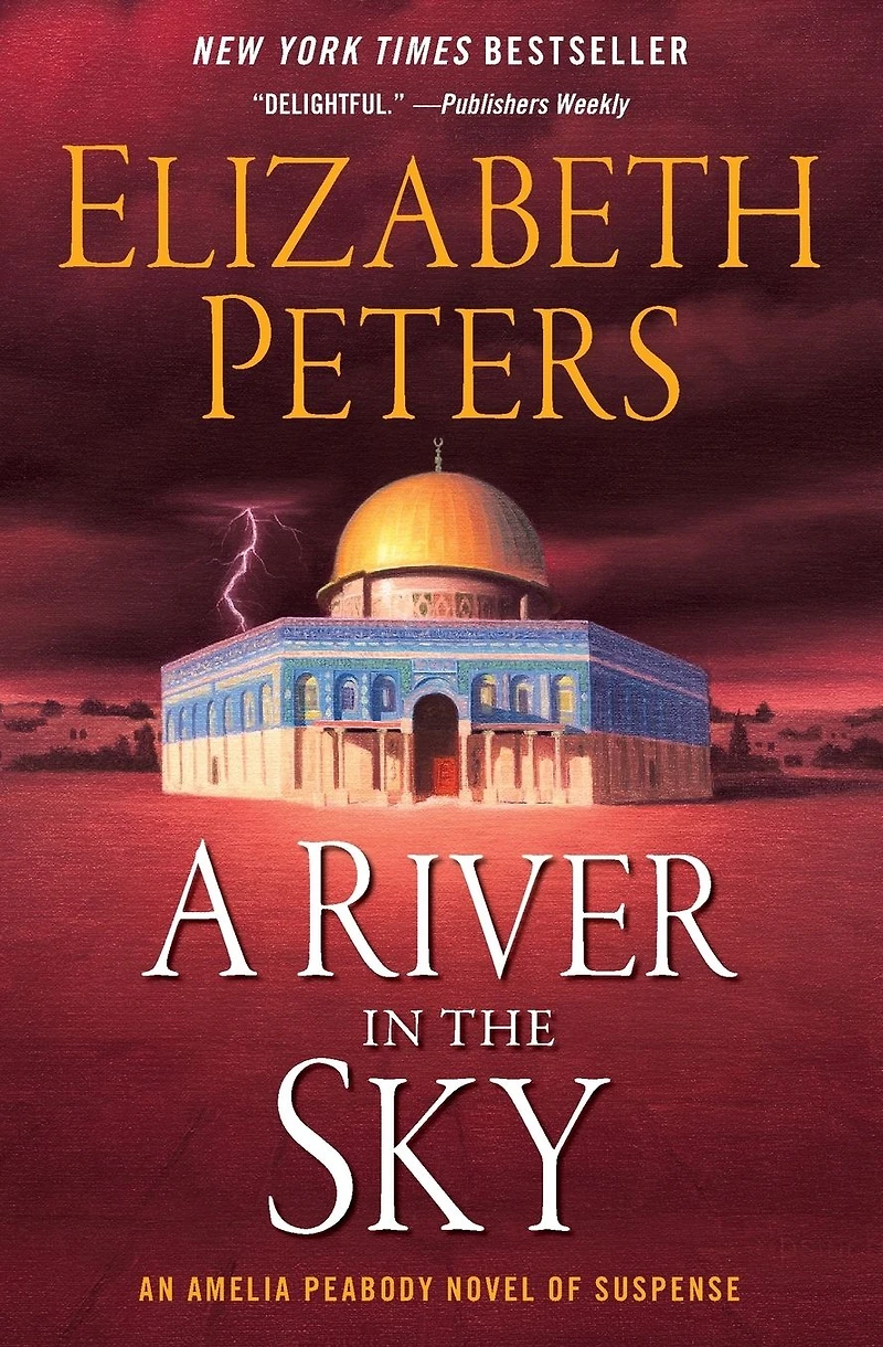 A River the Sky: Novel