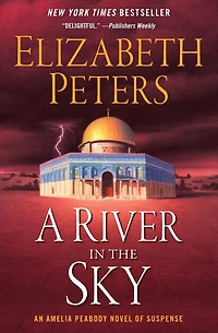 A River the Sky: Novel