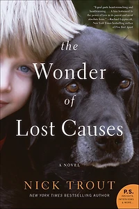 The Wonder of Lost Causes: A Novel