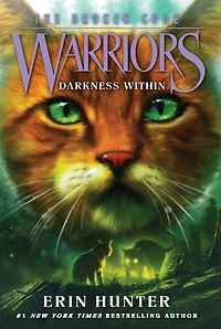Darkness Within (Warriors: The Broken Code #4)