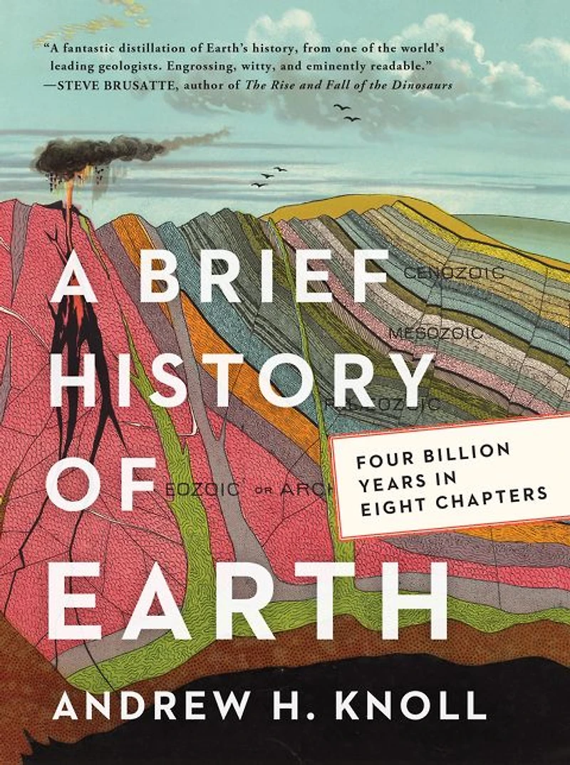 A Brief History of Earth: Four Billion Years Eight Chapters
