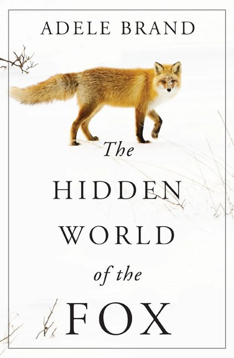 the Hidden World of Fox