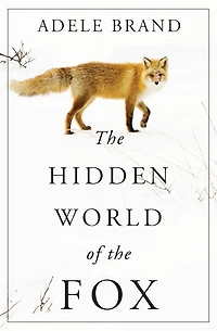 the Hidden World of Fox