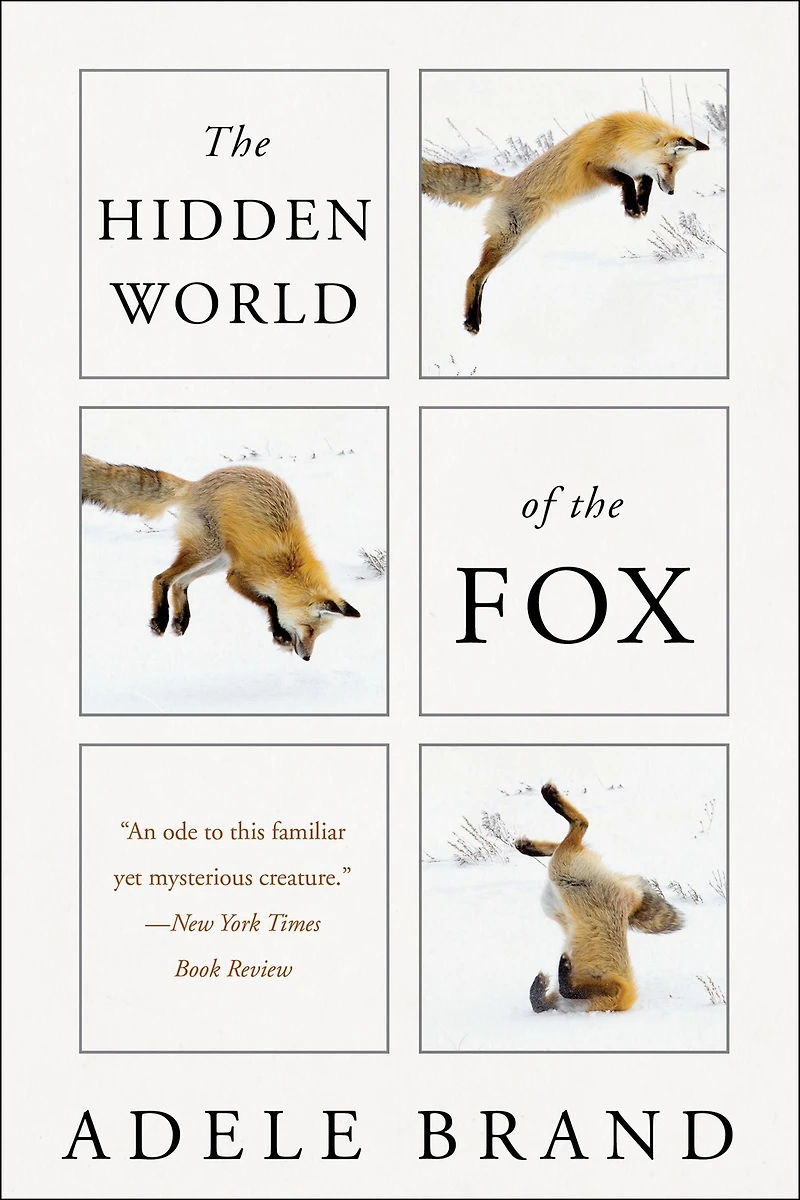 the Hidden World of Fox