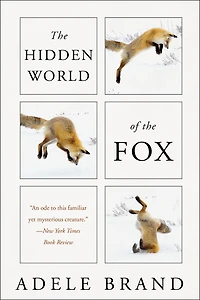 the Hidden World of Fox