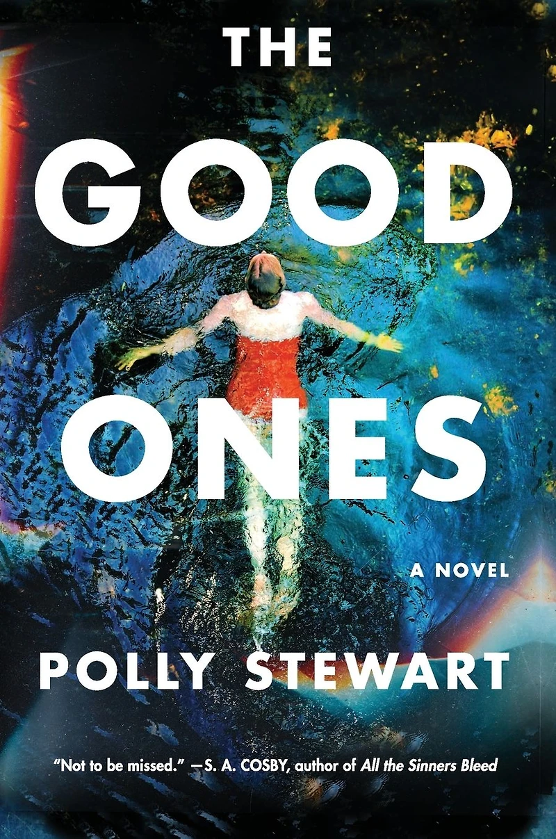 The Good Ones: A Novel