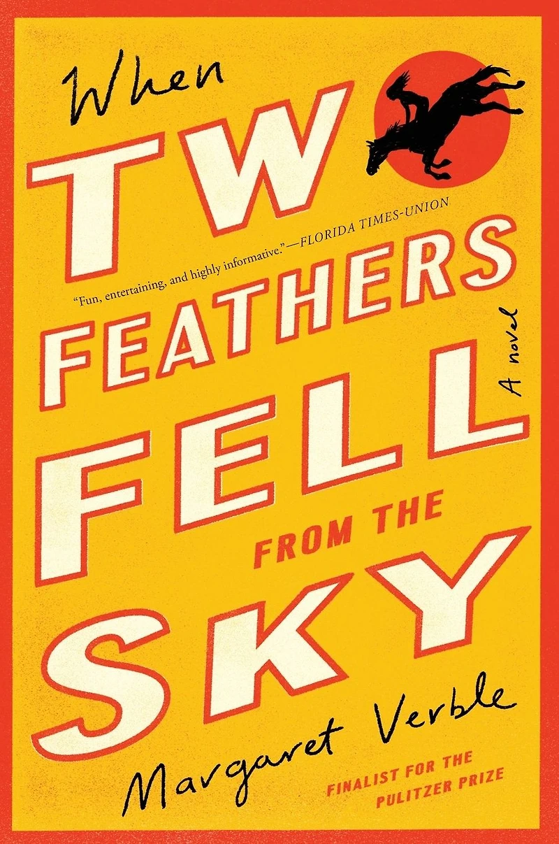 When Two Feathers Fell From The Sky