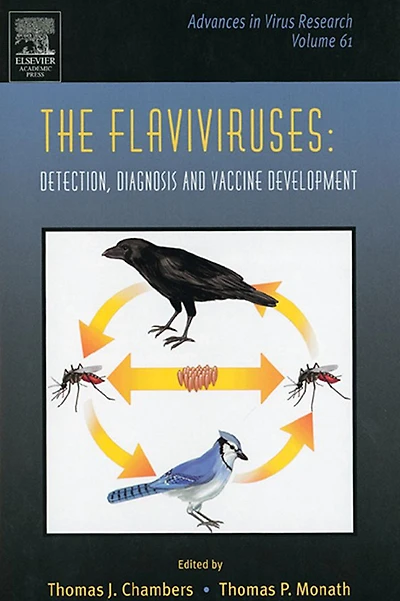 The Flaviviruses: Detection, Diagnosis and Vaccine Development