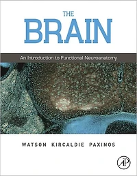 The Brain: An Introduction to Functional Neuroanatomy