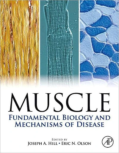 Muscle 2-Volume Set: Fundamental Biology and Mechanisms of Disease