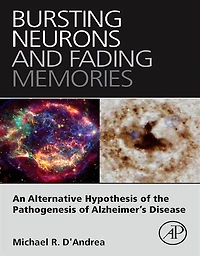 Bursting Neurons and Fading Memories: An Alternative Hypothesis of the Pathogenesis of Alzheimer's Disease