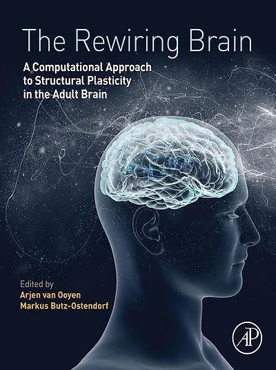 The Rewiring Brain: A Computational Approach to Structural Plasticity in the Adult Brain
