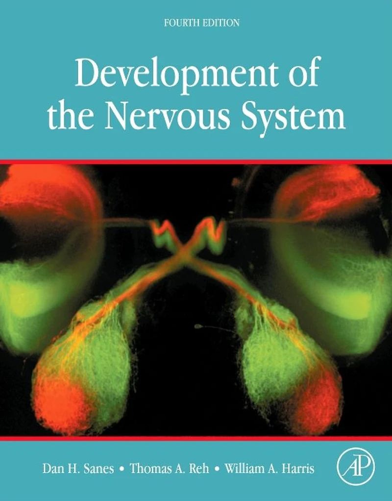 Development of the Nervous System