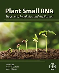 Plant Small RNA: Biogenesis, Regulation and Application