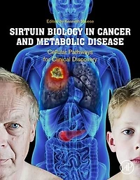 Sirtuin Biology Cancer and Metabolic Disease: Cellular Pathways for Clinical Discovery