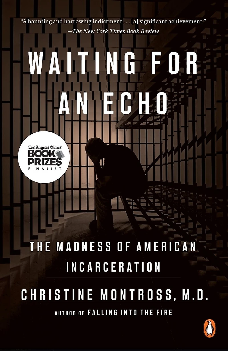Waiting for an Echo: The Madness of American Incarceration