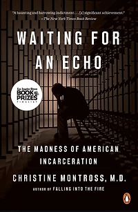 Waiting for an Echo: The Madness of American Incarceration