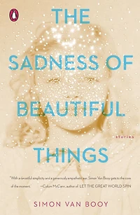 The Sadness of Beautiful Things